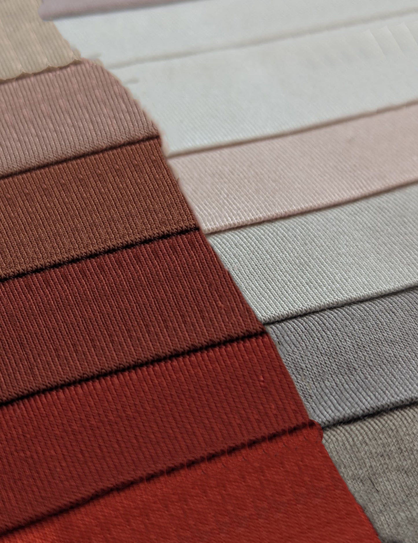 Colour Card | Bamboo Jersey