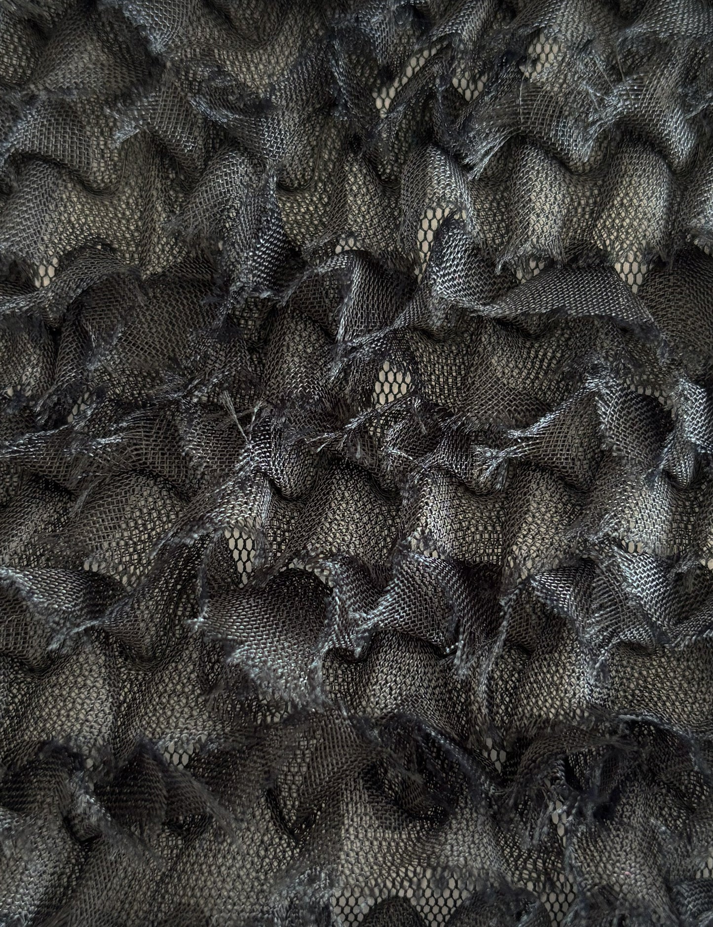 Colour Card | Black Swan