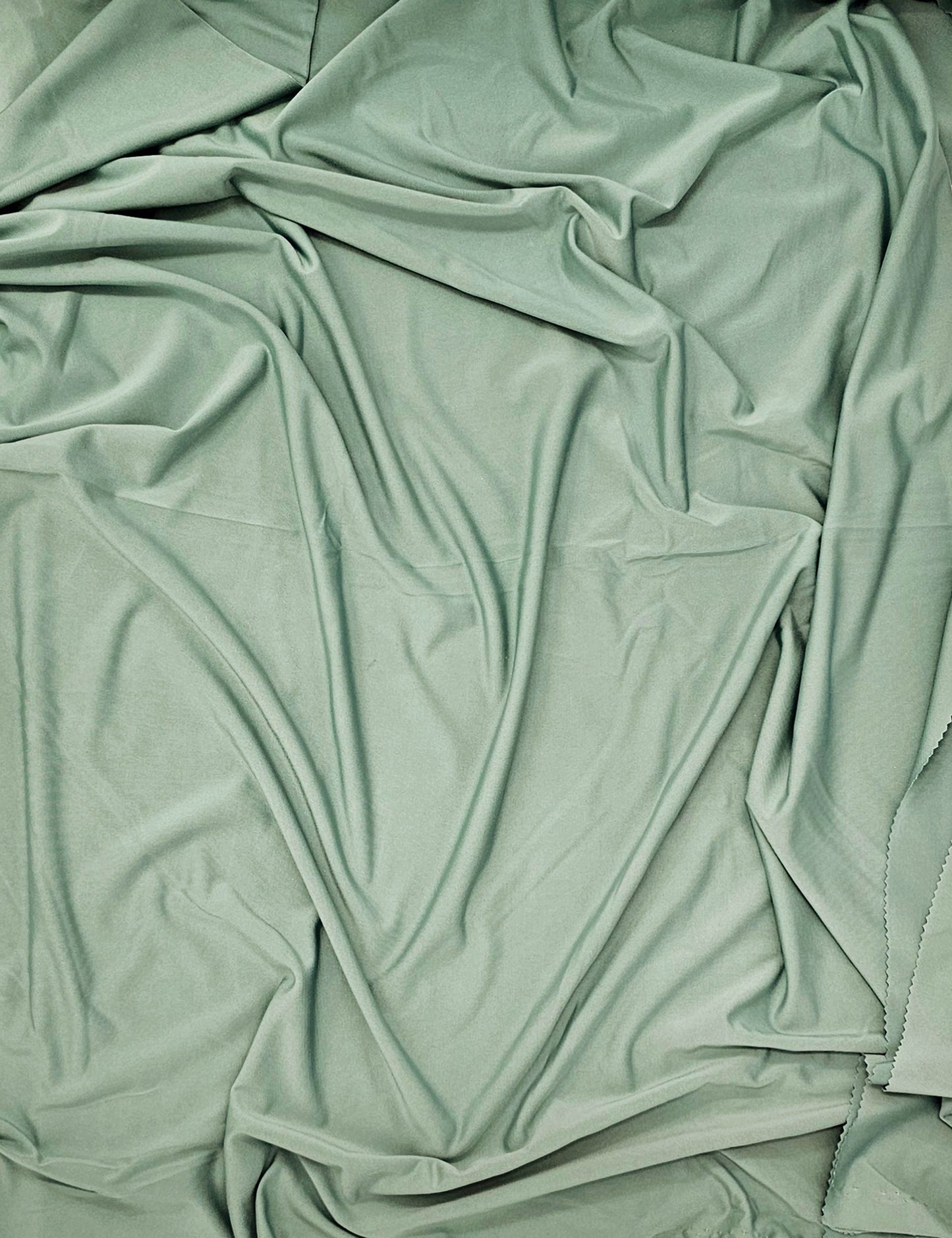 Spearmint