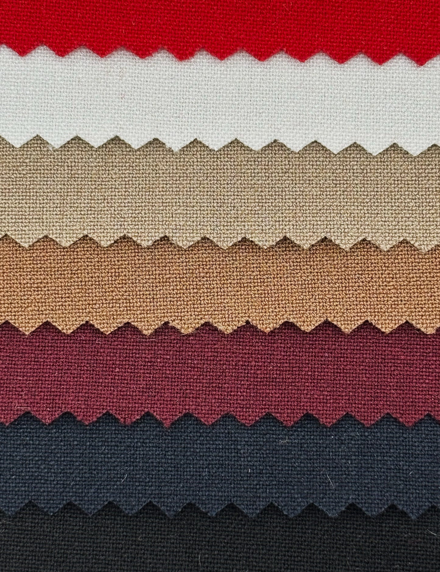 Colour Card | Stella